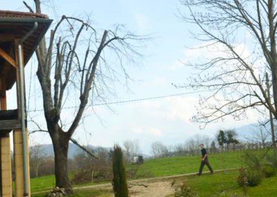 Étêtage d’un tilleul proche d’un bâtiment à Vinay