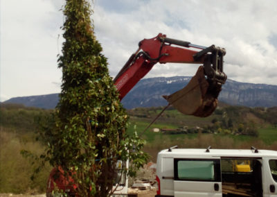 Plantation de gros sujets à Chantesse