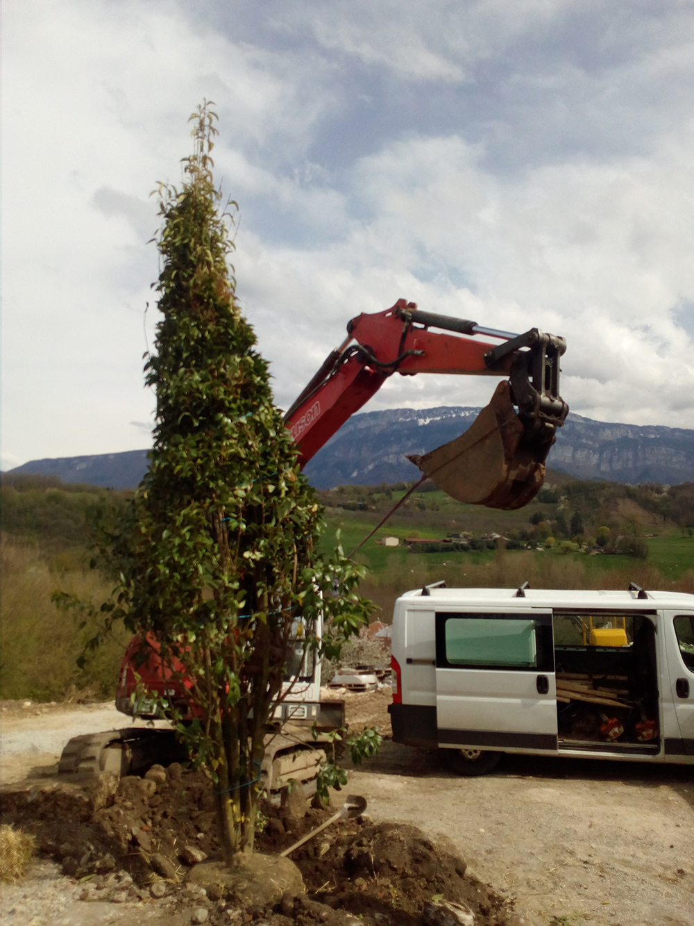 Plantation de gros sujets à Chantesse